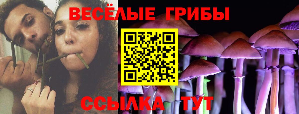 Галлюциногенные грибы Magic Shrooms Новоалтайск